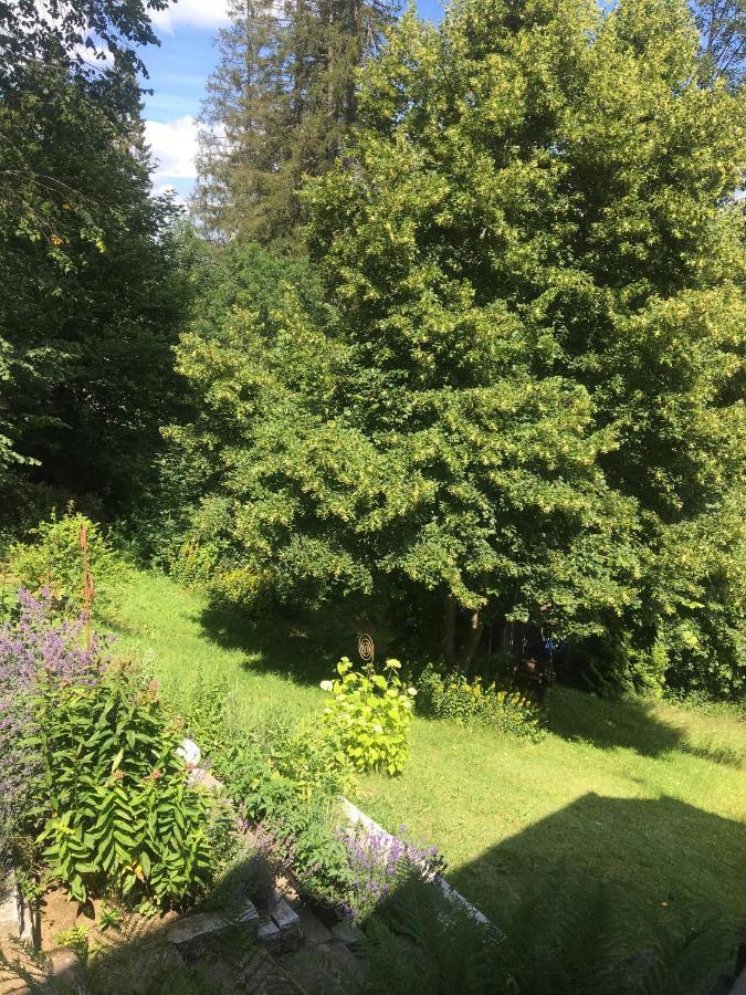 Ferienhaus Rotzinger Hinterzarten Buitenkant foto