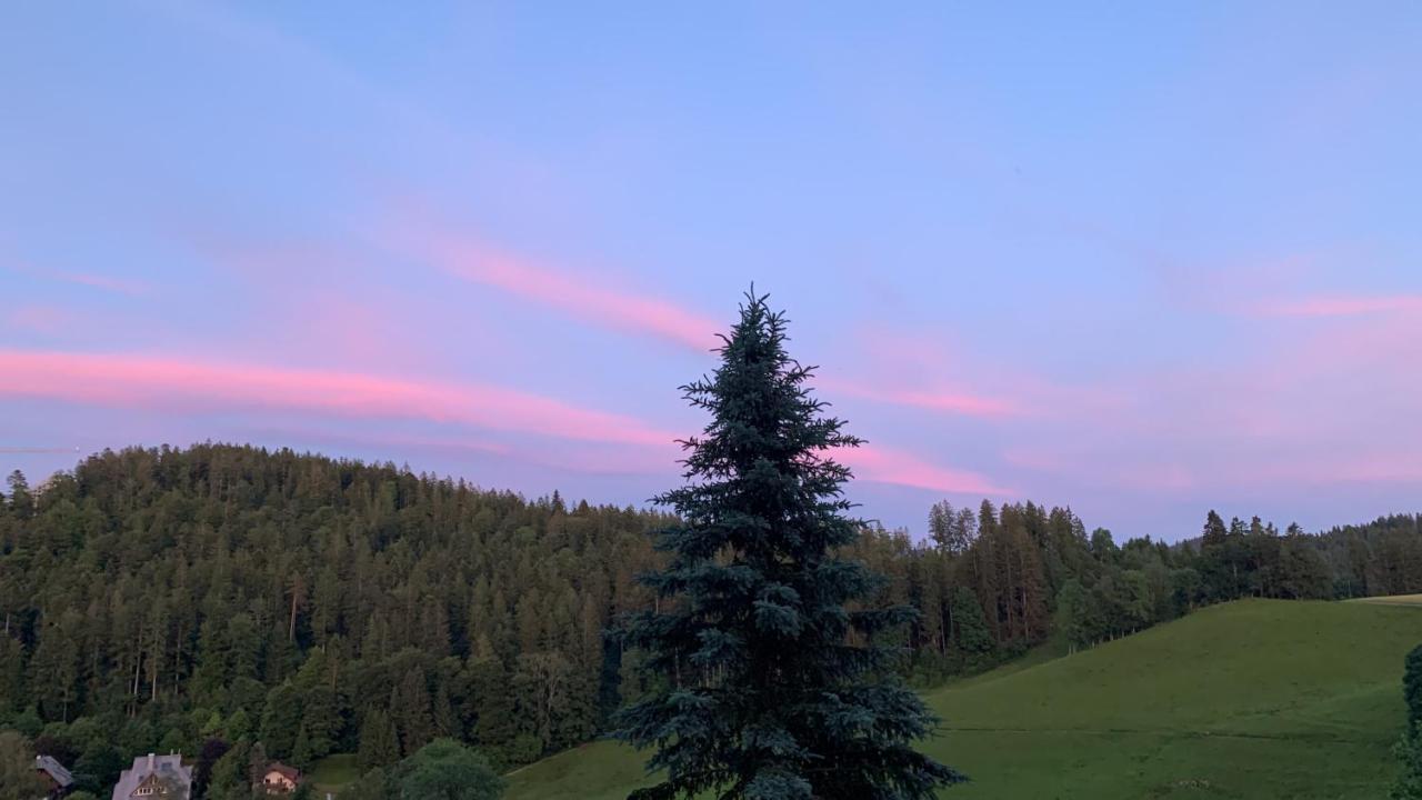 Ferienhaus Rotzinger Hinterzarten Buitenkant foto