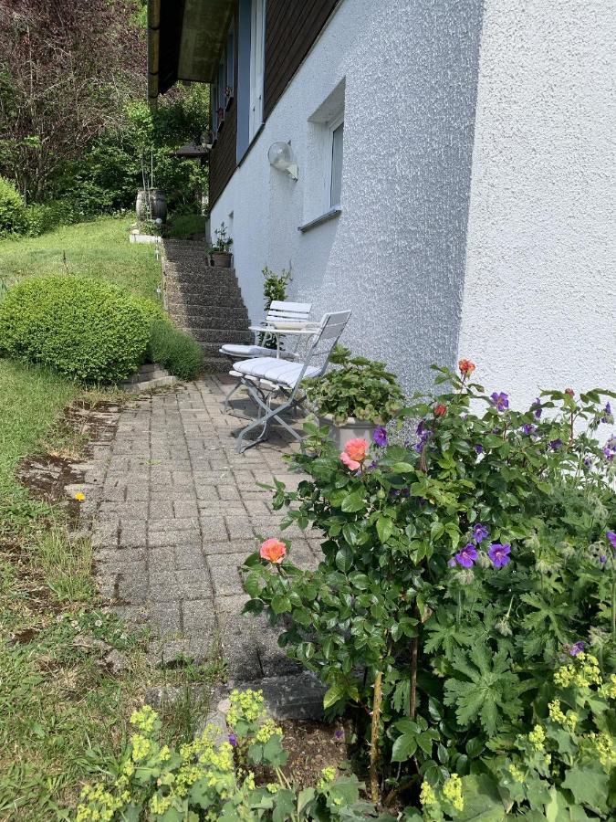 Ferienhaus Rotzinger Hinterzarten Buitenkant foto