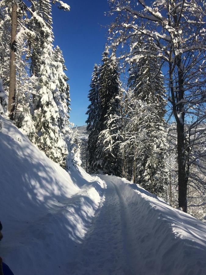 Ferienhaus Rotzinger Hinterzarten Buitenkant foto