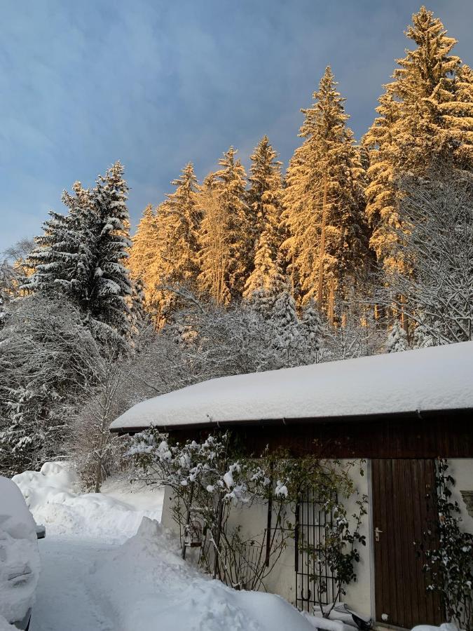 Ferienhaus Rotzinger Hinterzarten Buitenkant foto